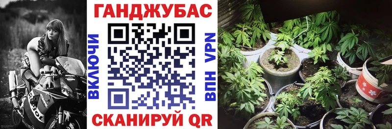 Купить  Чита  Канабис SATIVA & INDICA 